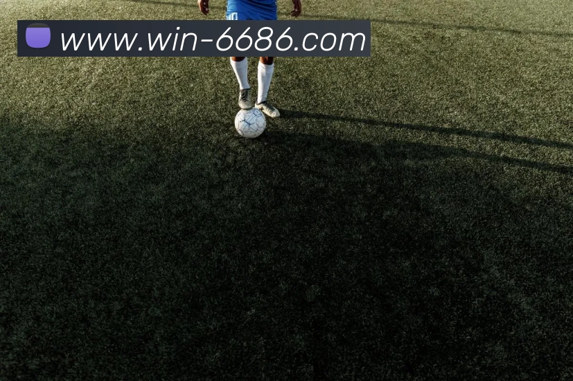 6686体育平台生态图